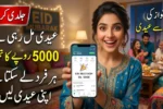 Maryam Nawaz Eidi Scheme 2026 Who Can Get Rs 5000 Before Eid