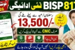 BISP 8171 Payment Check 2026 Complete Online Verification Guide
